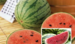 各大网红爆料吃瓜群,揭秘娱乐圈幕后真相