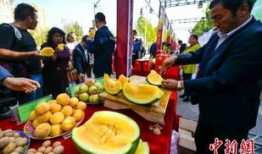 柬埔寨吃瓜最新事件爆料,揭秘背后惊人真相